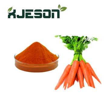 Ingredienti alimentari di carota secca